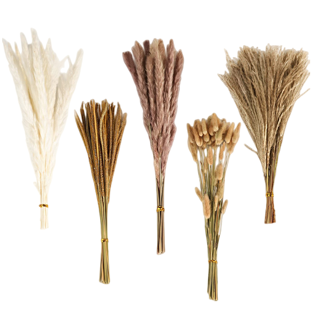 Herfst Vintage Gemengd Gedroog - Pampas Grass Decor recensie en prijs