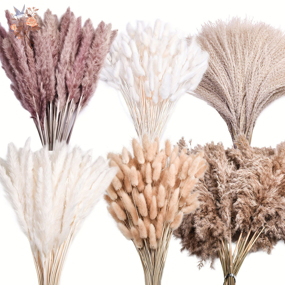 320 stuks gemengde pluizige gr - Pampas Grass Decor recensie en prijs